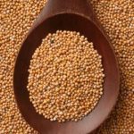 Mustard-Seed