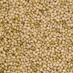 White French Millet